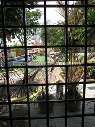 Emerald Hill Road (D9), Terrace #253330811